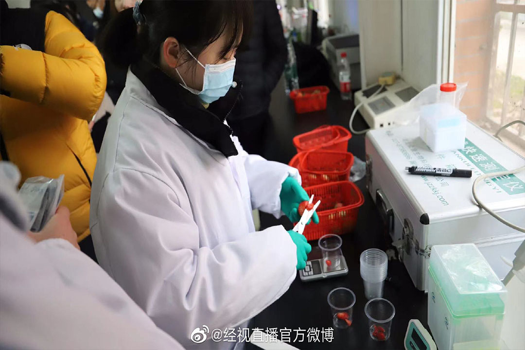 經(jīng)視直播官方微博報道:草莓抽檢樣品全部合格 武漢重點時節(jié)重點品種檢測成常態(tài)