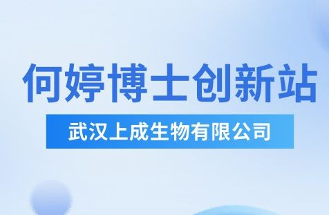 重磅|武漢上成&何婷博士創(chuàng)新站成功獲批